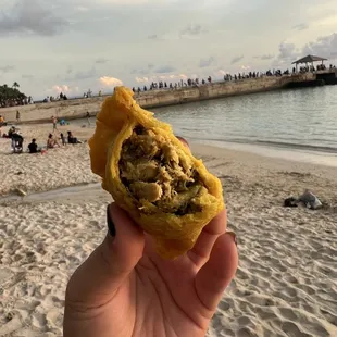 Chicken empanada