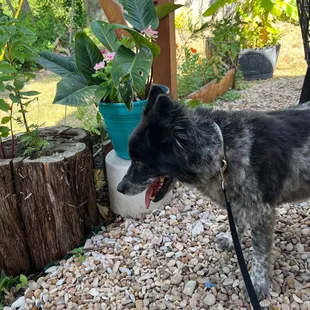 My taco buddy!