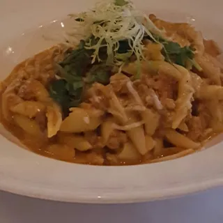 Bolognese