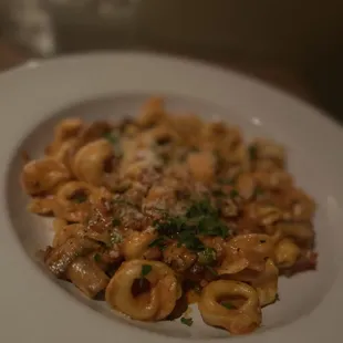 Tortellini boscaioalla