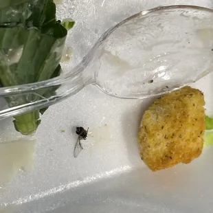 Caesar salad with a side of fly with a missing wing.