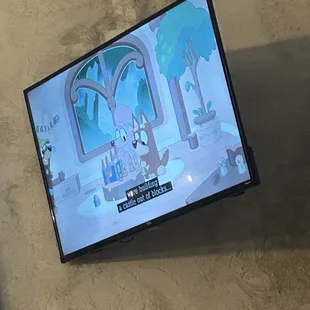 They were playing bluey for some reason