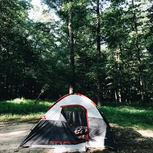 Nice grassy and shaded spots.