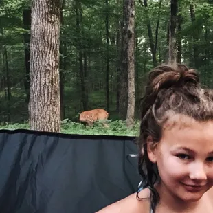 Deer greeted us in the morning outside our tent