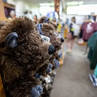 Mammoth Cave Visitor Center