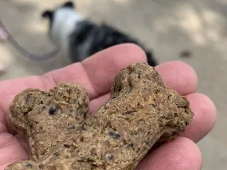 Yancey's Gastropub & Brewery