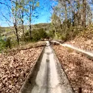 Alpine slide