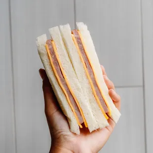 ham &amp; cheese sandwich