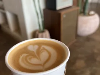 Palomino Coffee