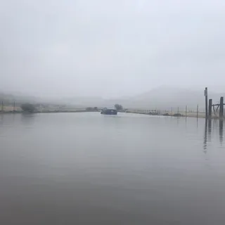 S H.