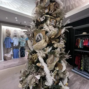 The King Kalakaua Tree!