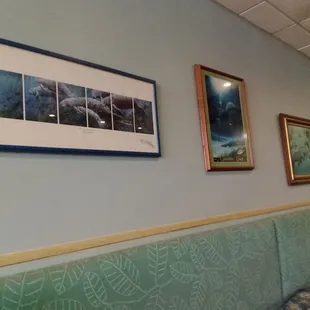 Lots of Manatee pictures.