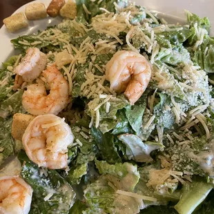 Lots of bitter lettuce NOT grilled shrimp