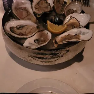 Oyster Sampler
