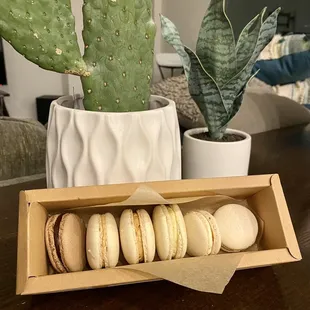a box of macarons