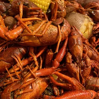 Mandala Viet-Cajun Crawfish