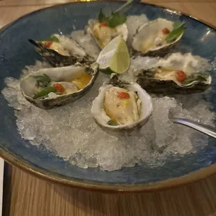 Oysters