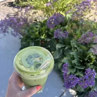 Iced Matcha Latte
