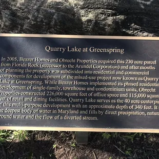 ramen and noodles, menu