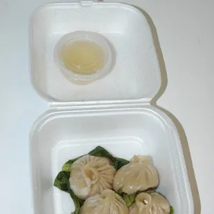 Peking Duck Wrap