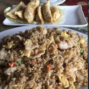 Pork Fried Rice &amp; potstickers