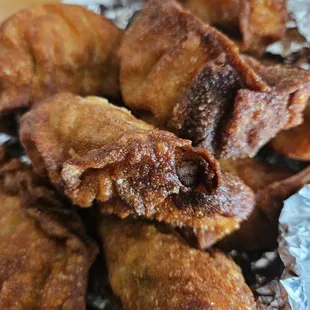 Burnt Pan Fried Meat Dumplings