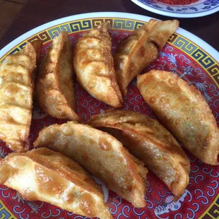 Pan Fried Dumplings