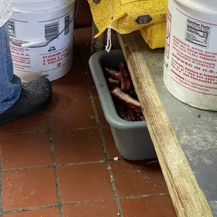 This is what y&apos;all eat at this buffet ??? I ask to go to the back and I saw this !!! I will never go back and eat here !!!