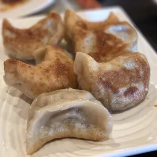 Pot Stickers