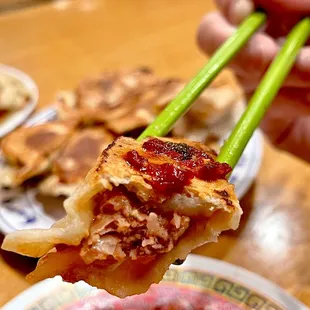 Pot Sticker Dumplings