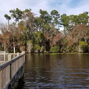 View towards the park from pier.