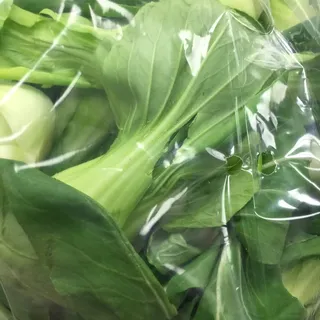 Fresh BOK Choy