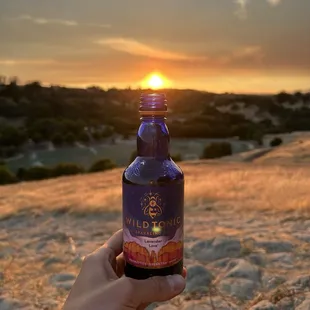 Best kombucha