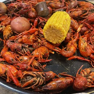 Berled crawfish