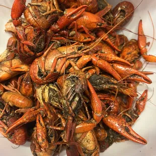Crawfish