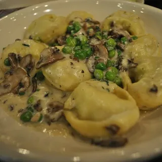 Tortellini Moda Mia