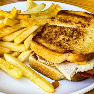 Super bird with fries