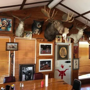 Animals, Pictures and History line the walls