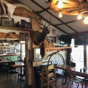 Animals, Pictures and History line the walls