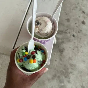 Mint chocolate chip and kitty kitty ice cream
