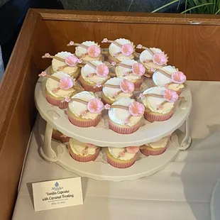 Cupcakes...