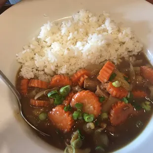 Chicken Curry Donburi