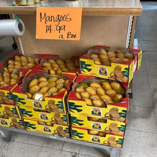 Mangoes