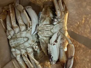 88 Seafood Supermarket