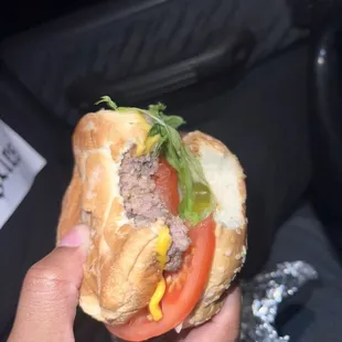 a person holding a sandwich