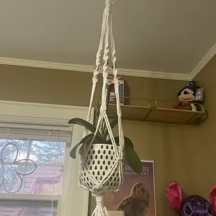 macrame plant hanger
