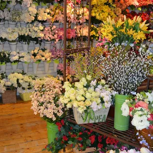 We love flowers and we know you do too.  Stop by and check out our newly renovated floral department.  We do custom orders as well.
