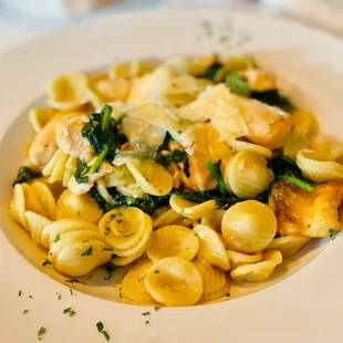 Orecchiette with Broccolini and Salmon (special request - it normally comes with spicy Italian sausage which I don't like)