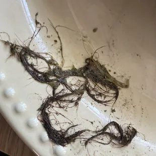 Hair that looks like it came from a drain...