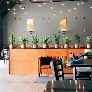 interior, sushi and sashimi